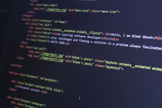 How High-Performance WordPress Sites Boost Conversion Rates in 2025